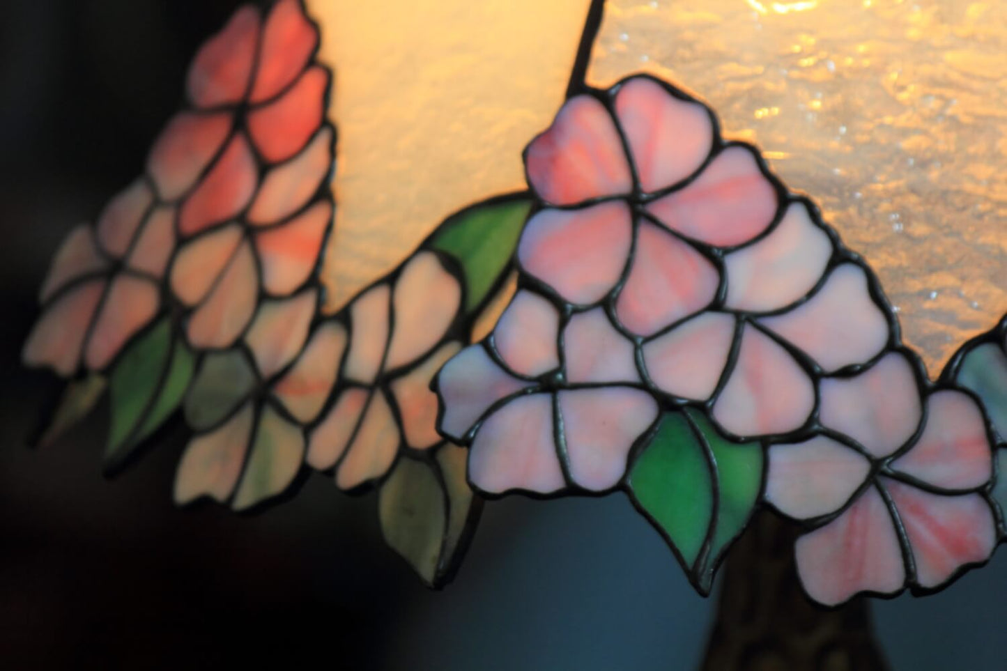 Cherry Blossom